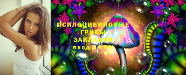 PSILOCYBIN Абдулино